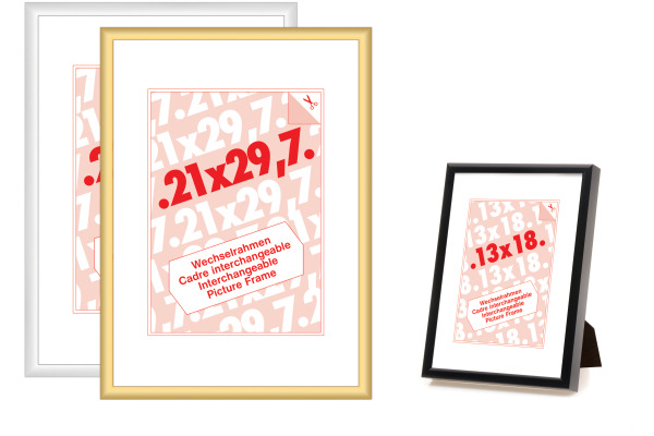 DEBEX Wechselrahmen 18x24cm 904101-18 Alu silber