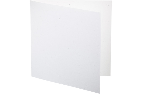 ARTOZ Karten 1001 310x155mm 245226211 216g, birch 5 Blatt