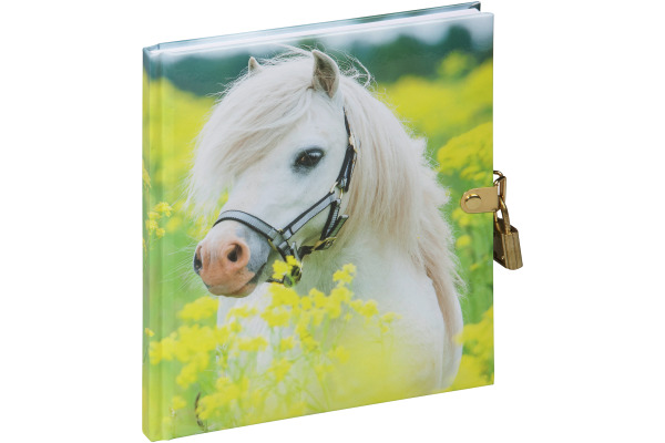 PAGNA Tagebuch 20241-15 kleines Pony 128S