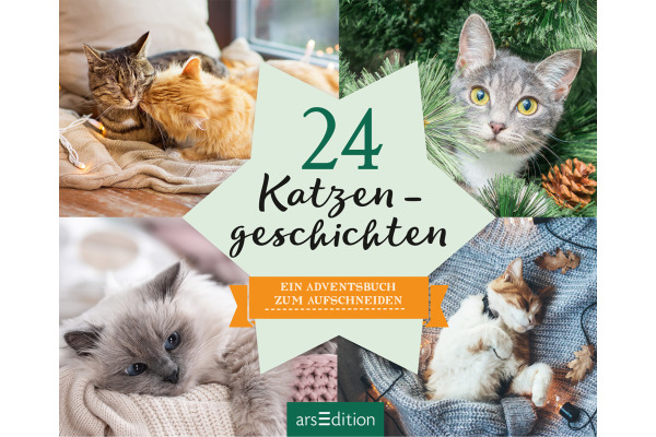 ARS EDITI Adventkalender 15.6x12.6cm 845835969 24 Katzengeschichten