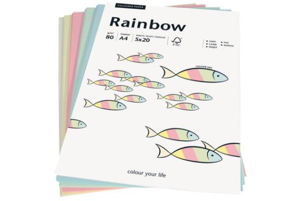 PAPYRUS Rainbow Mixpack 88043187 pastell, 80g 100 Blatt