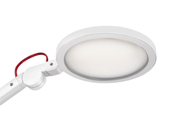 CEP Tischleuchte GIANT CLED0350S Eiche, dimmbar 11W