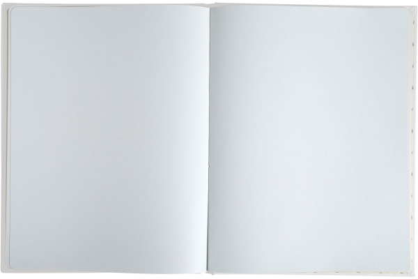 EXACOMPTA Gästebuch Titane 22x27cm 47092E Coco 100 Seiten