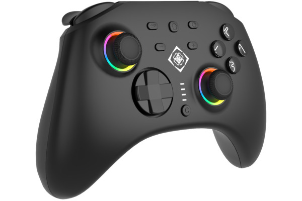 DELTACO Wireless Controller RGB GAM-198 NSW 2, with C-button, Black