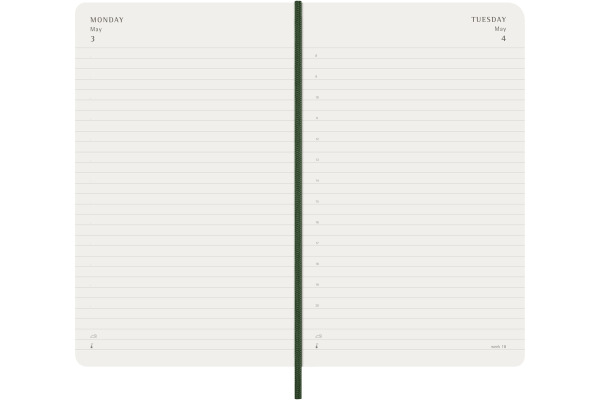 MOLESKINE Agenda Classic Large 2027 DSK1512DC 1T/1S myrtengrün SC 13x21cm