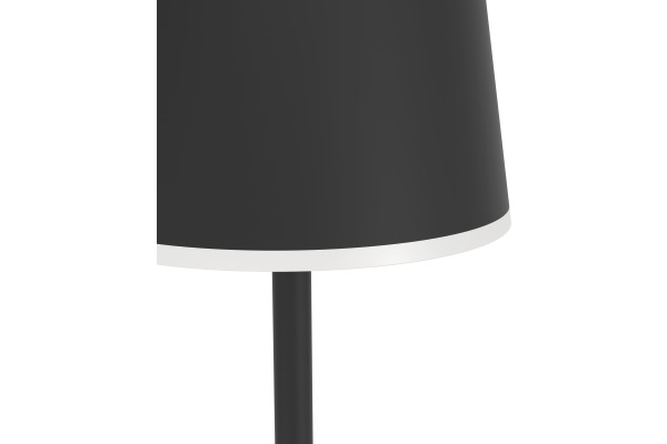 EGLO Stehleuchte Mannera-L 901748 schwarz, Akku