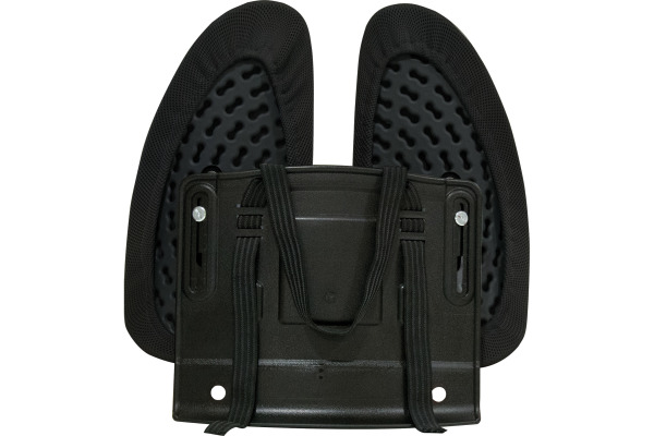 FELLOWES Rückenstütze 8026401 Back Angel