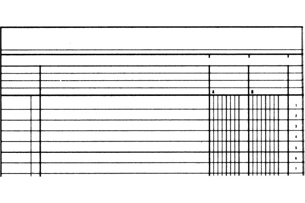 SIMPLEX Statistikbuch A4 19082 2 Kolonnen, grün 40 Blatt