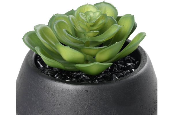 EGLO Kunstpflanze 11cm 428492 grün, im Topf