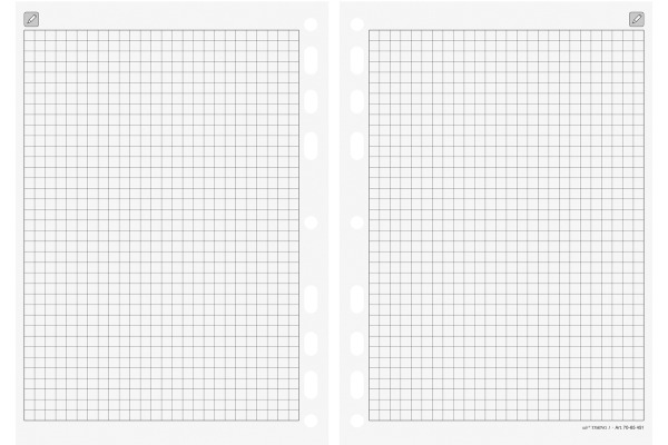 RIDOIDE Timing 1 Notizen kariert 7065451 32 Blatt 14.8x21cm