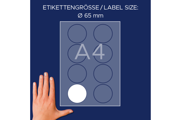 AVERY ZW. Namensetiketten 65mm J4881-20 weiss 20 Blatt/160 Stk.
