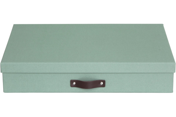 BIGSO BOX Aufbewahrungsbox Sverker 9341C1649 mintgrün A3