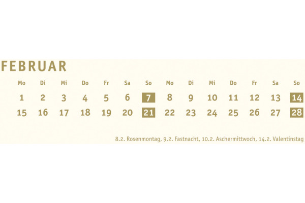 HEYE Bastelkalender 2027 22993+27 gold 21x29.7cm