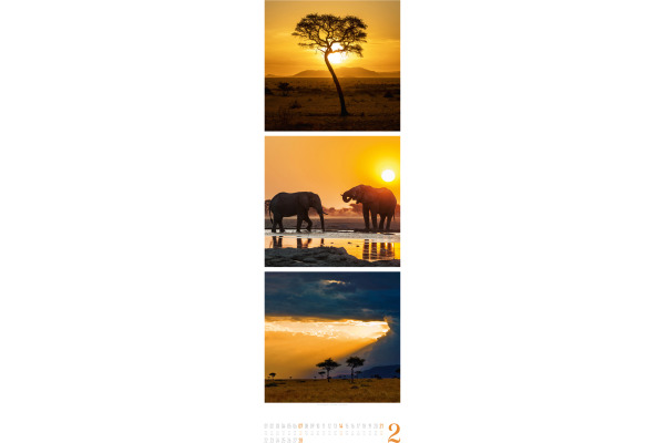 ACKERMANN Bildkalender 2027 2756 Nature ML 33x100cm