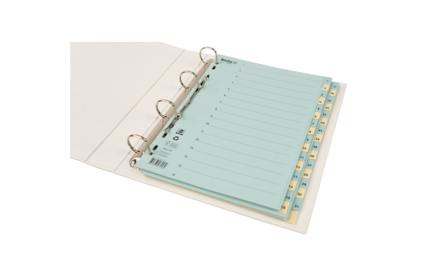 BIELLA Kartonregister 210g A4 46244300U blau/gelb 1-31