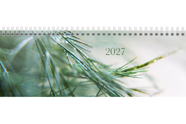 RIDOIDE Pultkalender Design Line 2027 703631103 1W/2S Greeny DE 29.7x10.5cm