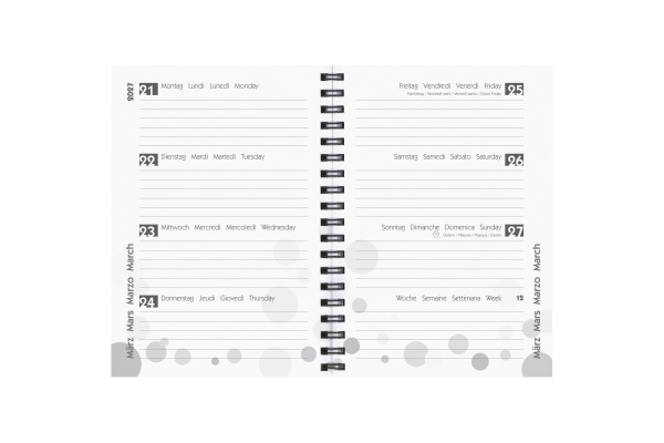 BIELLA Schüleragenda Easy 26/27 17800027U 1W/2S 12x16.5cm
