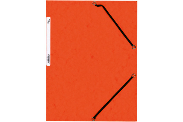 BÜROLINE Gummibandmappe A4 460696PE orange, Karton