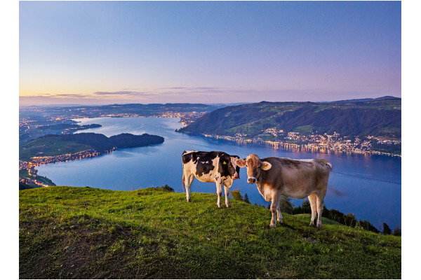 CALENDARI Bildkalender 2027 36206011 Zentralschweiz ML 31.5x23cm