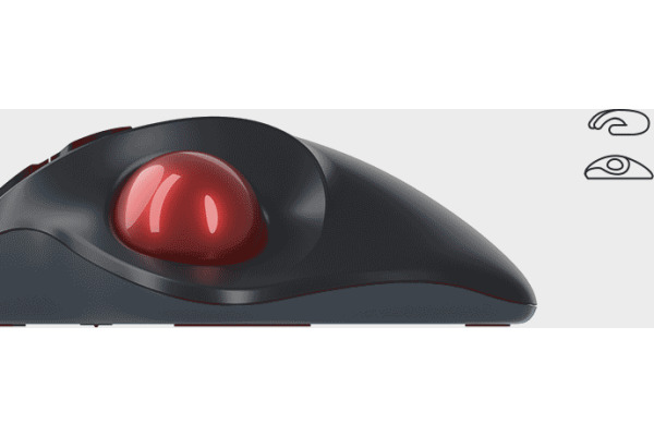 KEYSONIC Ergonomische Trackball Maus, KSM-6101R DPI Einstellung, Grau