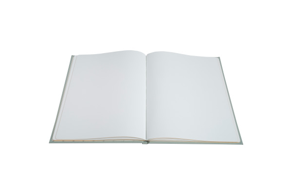 EXACOMPTA Gästebuch Ellipse 27x22cm 47982E grün 100 Seiten