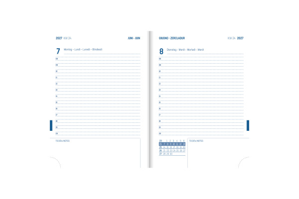 SIMPLEX Schüleragenda Joy Plus 26/27 500425.27 1W/2S 17M grün ML 14.8x21cm
