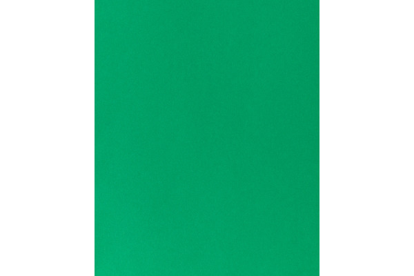 I AM CREA Tonpapier A4 29030083 120g, tannengrün