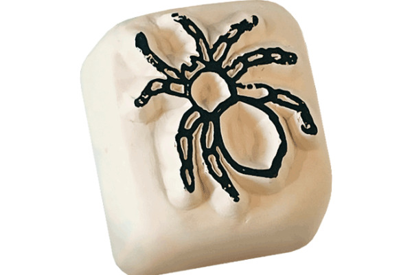 COLOP LaDot Stein small 167845 spider