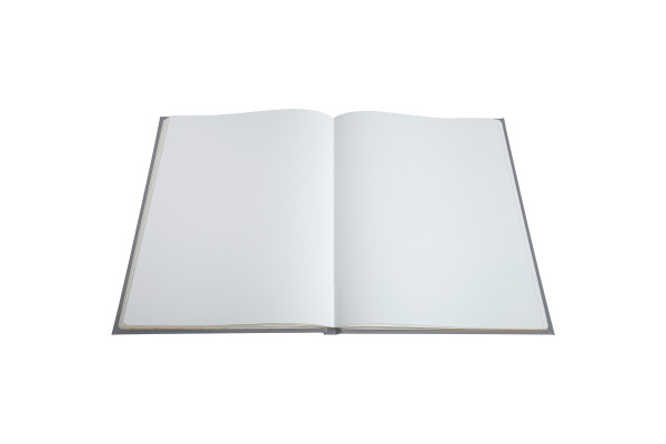 EXACOMPTA Gästebuch Ellipse 27x22cm 47984E beige 100 Seiten