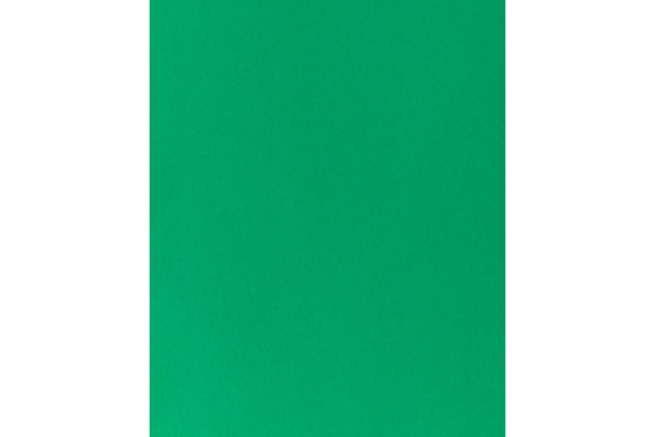 I AM CREA Tonpapier 50x70cm 29012083 120g, tannengrün
