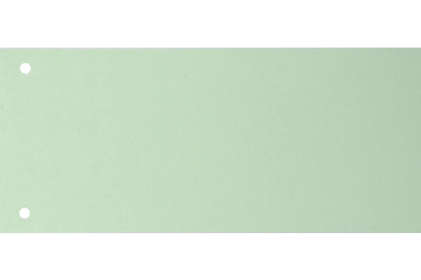 BIELLA Trennstreifen Karton 2 Loch 19919030U grün, 24x10.5cm 100 Stk.