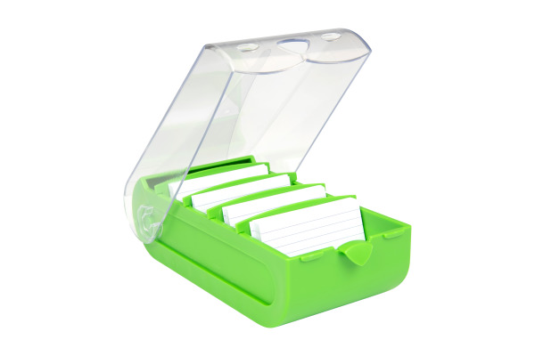 BIELLA Karteikartenbox Bunny A8 20885130U grün 10x6.2x19.5cm