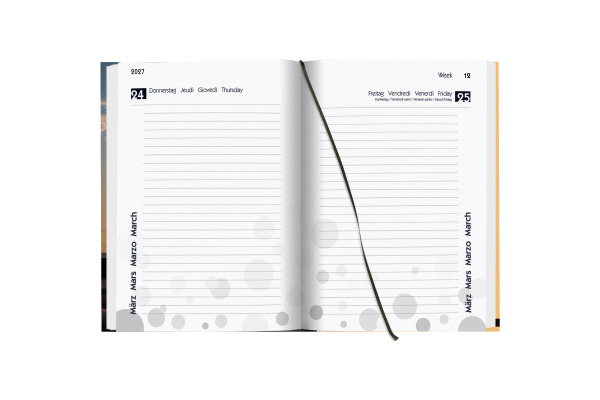 BIELLA Schüleragenda Palms 26/27 14840027U 1T/1S 12x16.5cm