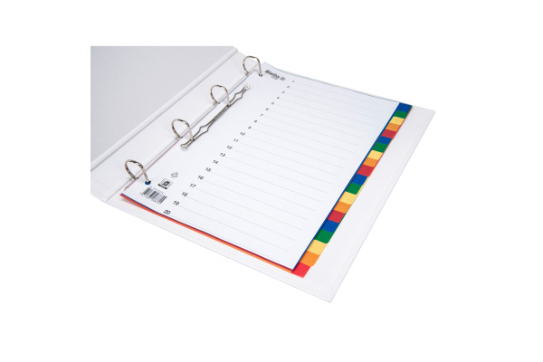 BIELLA Register PP A4 46342000U farbig 20-teilig