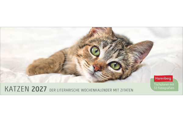 HARENBERG Pultkalender 2027 331023527 Katzen 29.9x11.1cm