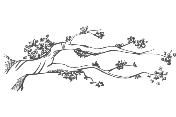 COPIC Gasenfude 3.1mm 2007805 Nylon Pinselspitze