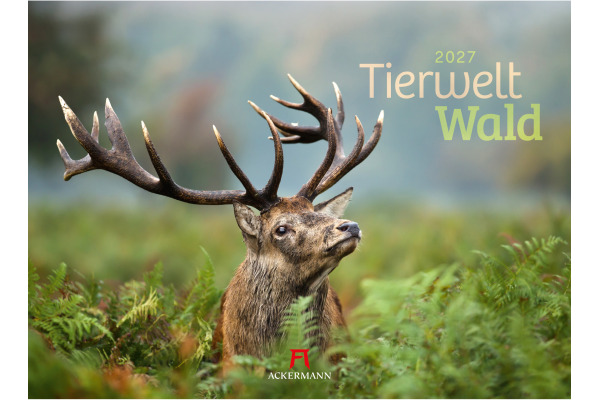 ACKERMANN Bildkalender 2027 2782 Tierwelt Wald D 45x33cm