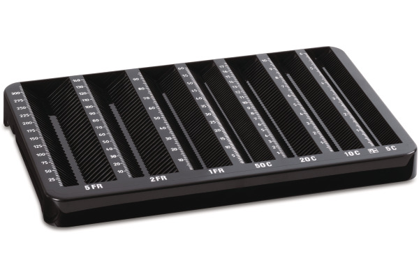 RIEFFEL Geldkassetten Einsatz A12702 für CHF 276x179x70mm
