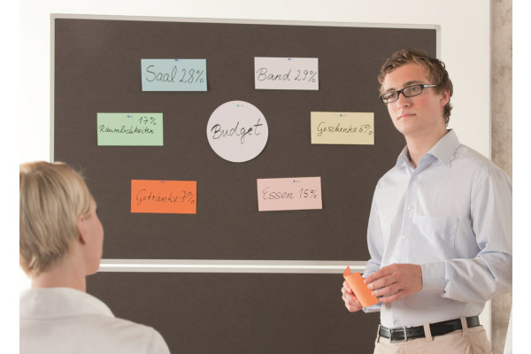 MAGNETOP. Kommunikations-Karten 20x10cm 111151510 ass. 500 Blatt