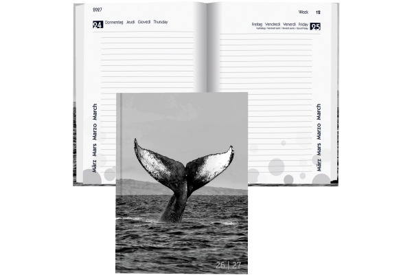 BIELLA Schüleragenda Whale 26/27 44860027U 1T/1S 12x16.5cm