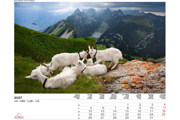 CALENDARI Bildkalender 2027 36205915 Swiss Panorama ML 40x31cm