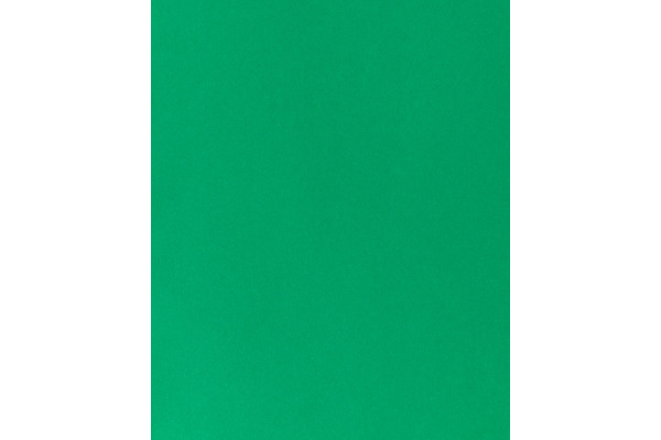 I AM CREA Tonpapier A4 29030083 120g, tannengrün