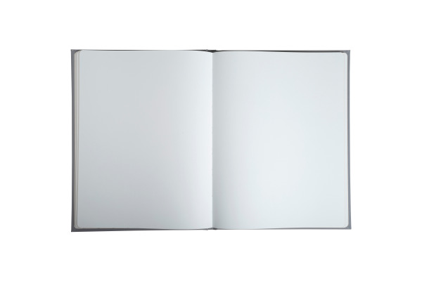 EXACOMPTA Gästebuch Ellipse 27x22cm 47984E beige 100 Seiten