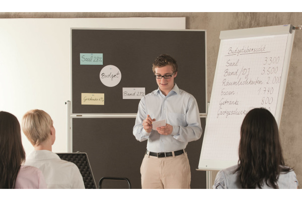 MAGNETOP. Kommunikations-Karten 20x10cm 111151510 ass. 500 Blatt