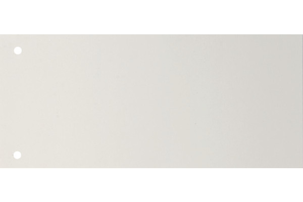 BIELLA Trennstreifen Karton 2 Loch 19919001U weiss, 24x10.5cm 100 Stk.