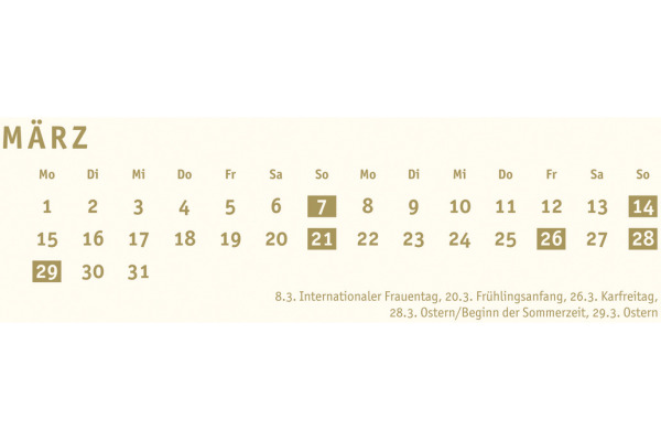 HEYE Bastelkalender 2027 22993+27 gold 21x29.7cm