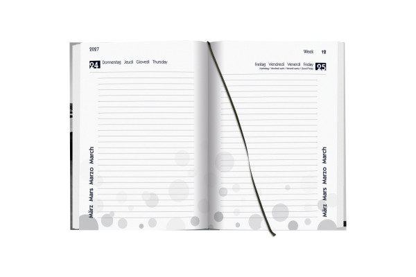 BIELLA Schüleragenda Skater 26/27 14820027U 1T/1S 12x16.5cm