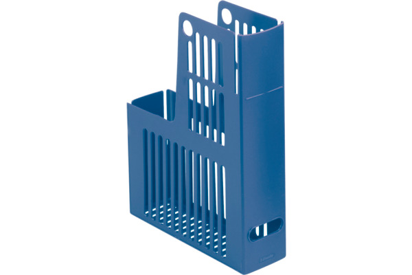 ESSELTE Collecta-Box A4 24646 blau