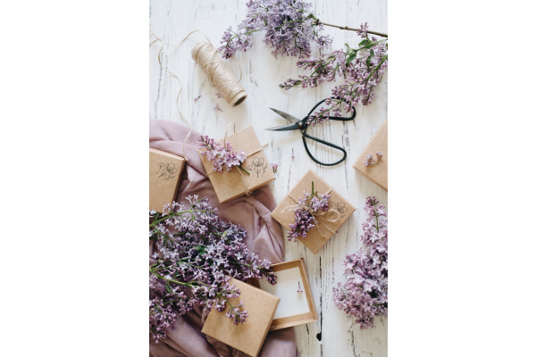 COLOP Textstempel 154849 Little NIO Handmade DE