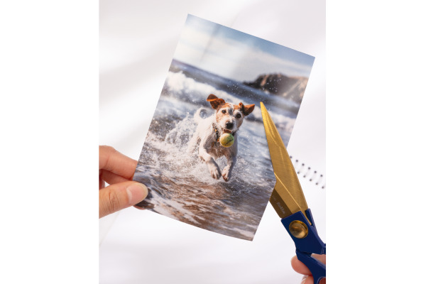 FOLIA Fotokalender DIY A4 23181 weiss